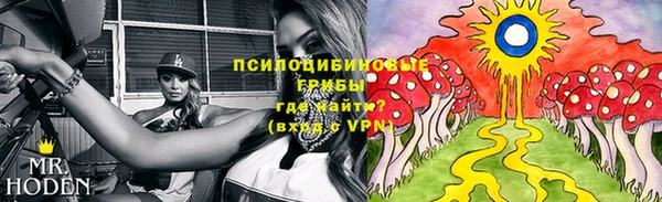 хмурый Липки